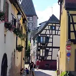 L'arbre Rose De Lägenhet