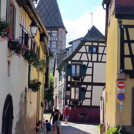 L'arbre Rose - Parking, Borne Ve Et Fibre 아파트