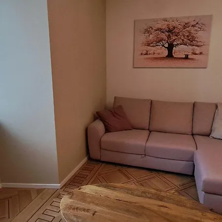 L'arbre Rose De Appartement Bergheim