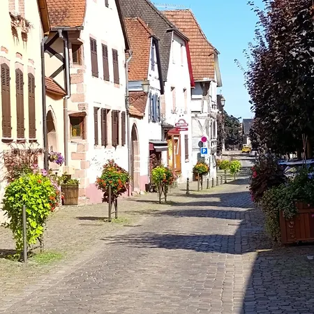 아파트 L'arbre Rose - Parking, Borne Ve Et Fibre *