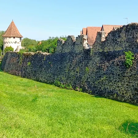 L'arbre Rose De Appartamento Bergheim