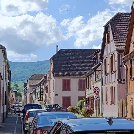 Appartement L'arbre Rose De Bergheim