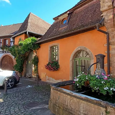 L'arbre Rose De Bergheim