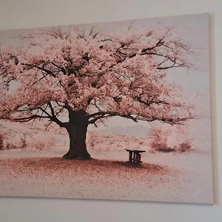 아파트 L'arbre Rose - Parking, Borne Ve Et Fibre