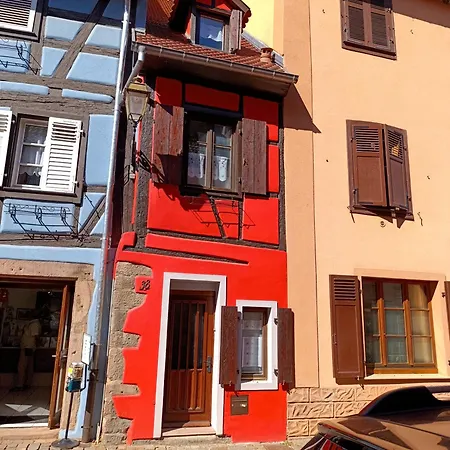 L'arbre Rose De * Bergheim