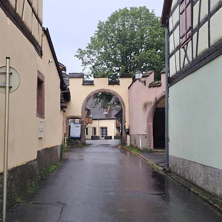 L'arbre Rose - Parking, Borne Ve Et Fibre 아파트