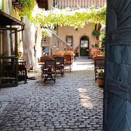 Appartement L'arbre Rose De Bergheim