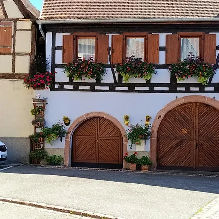 L'arbre Rose De Bergheim
