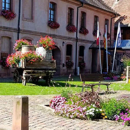 L'arbre Rose De Appartement Bergheim