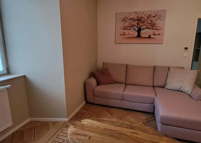 L'arbre Rose De Appartamento Bergheim