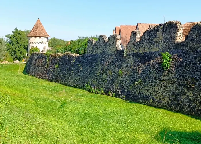 L'arbre Rose De Appartamento Bergheim