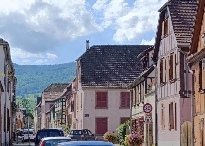 Appartamento L'arbre Rose De Bergheim