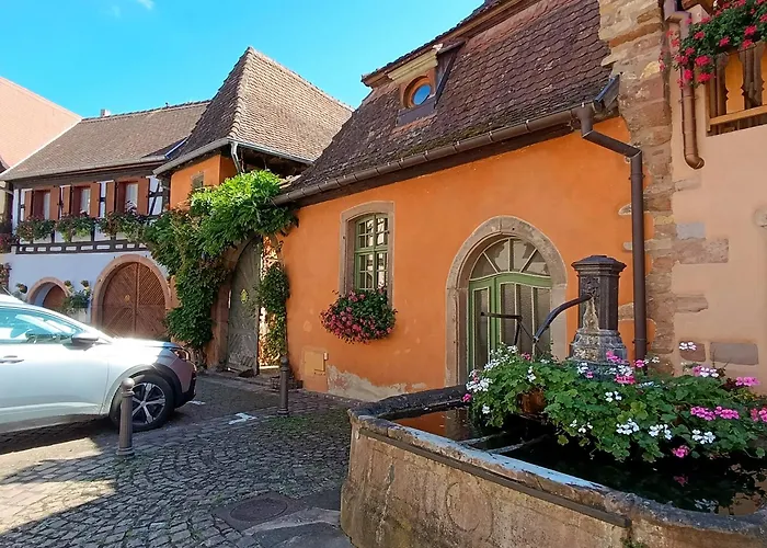 L'arbre Rose De Bergheim