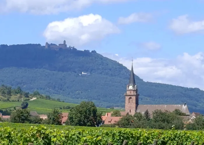 Appartamento L'arbre Rose De Bergheim