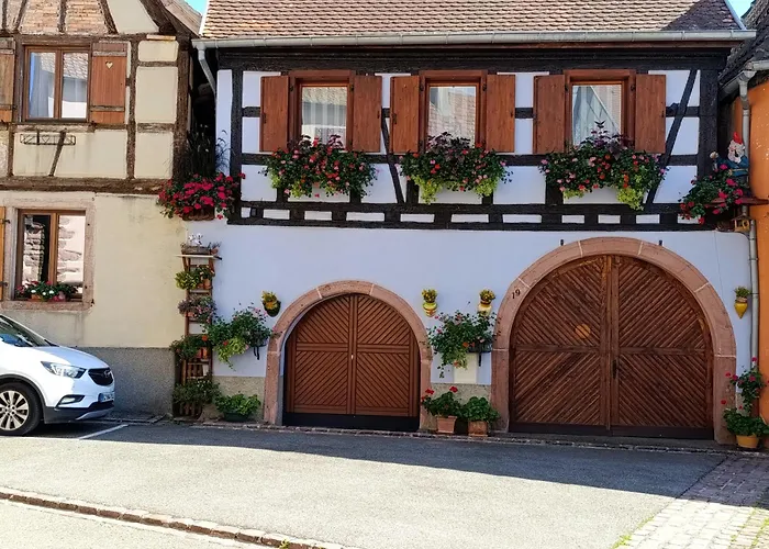 L'arbre Rose De Bergheim