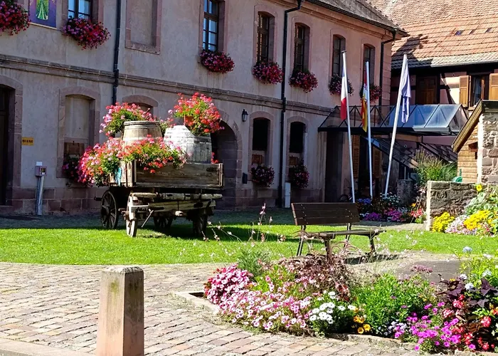 L'arbre Rose De Appartamento Bergheim